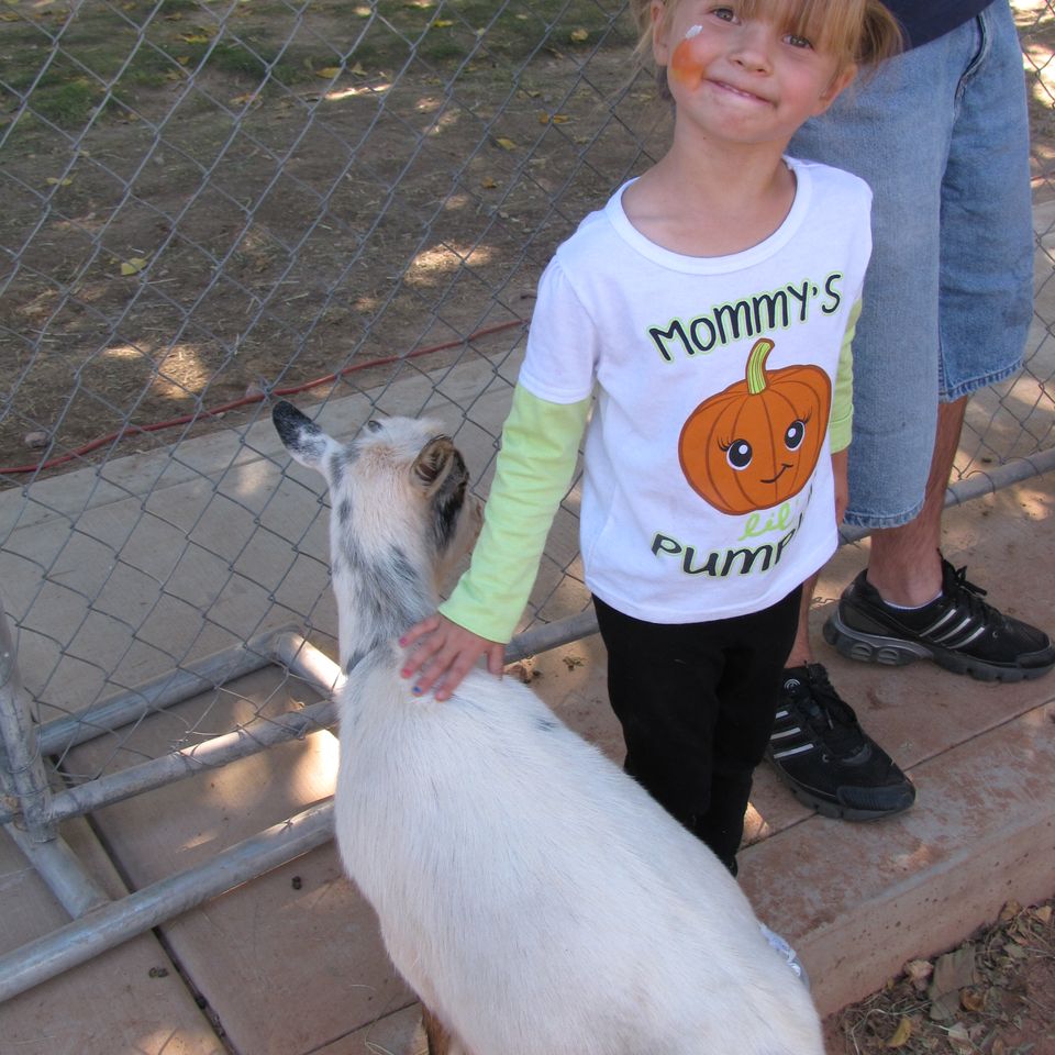Petting Zoo at PDOP Pumpkin Days in Pahrump
